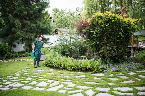 Best Mosquito Control Services  in Harrogate, TN