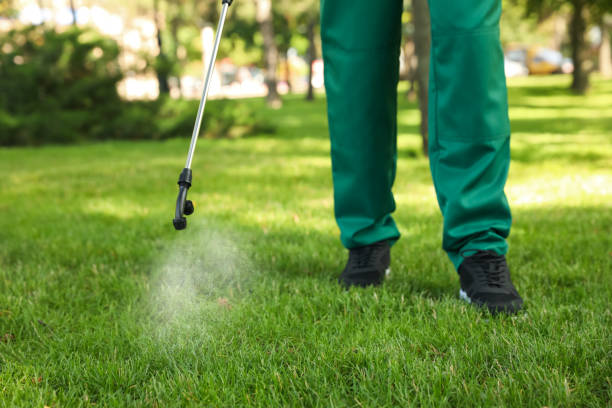 Best Commercial Pest Control Services  in Harrogate, TN