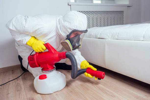 Best Affordable Pest Control Services  in Harrogate, TN