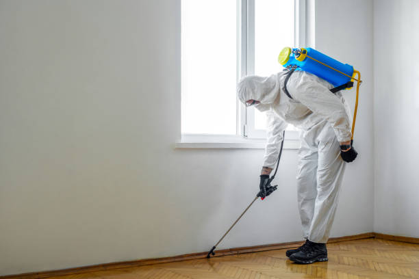 Best Mosquito Control Services  in Harrogate, TN