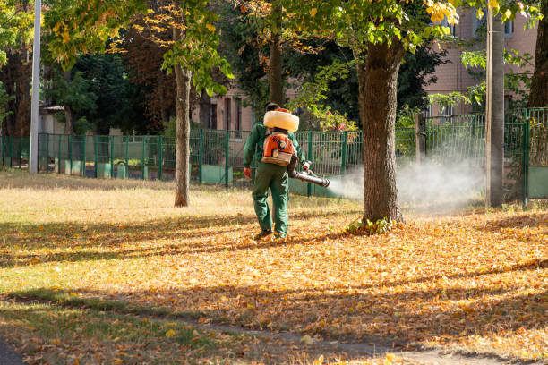 Bird Control in Harrogate, TN
