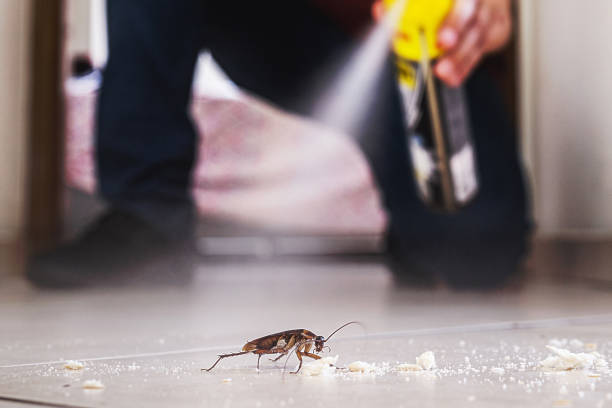 Best Pest Prevention Services  in Harrogate, TN