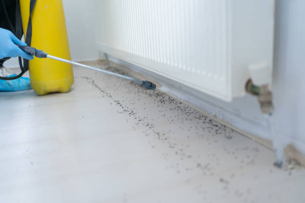 Best Pest Inspection Near Me  in Harrogate, TN