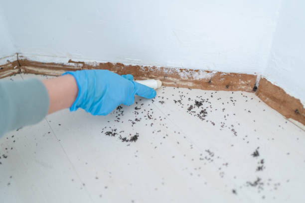 Best Wildlife Control Services  in Harrogate, TN