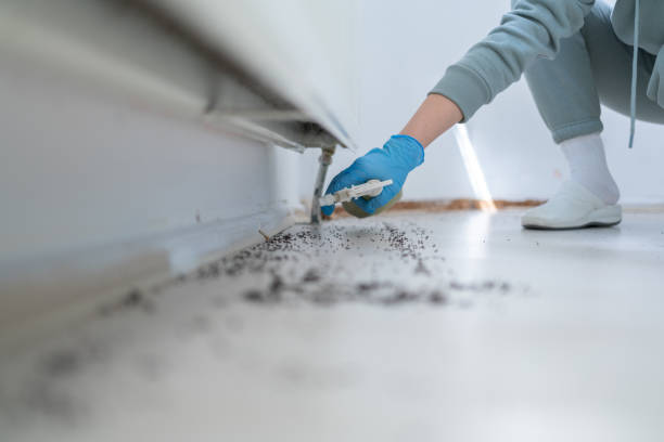 Best Exterminator Services  in Harrogate, TN